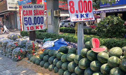 Kinh tế toàn cầu và thị trường nội địa: Nông sản Việt đối mặt thách thức lớn, dưa hấu rớt giá thảm tại Gia Lai