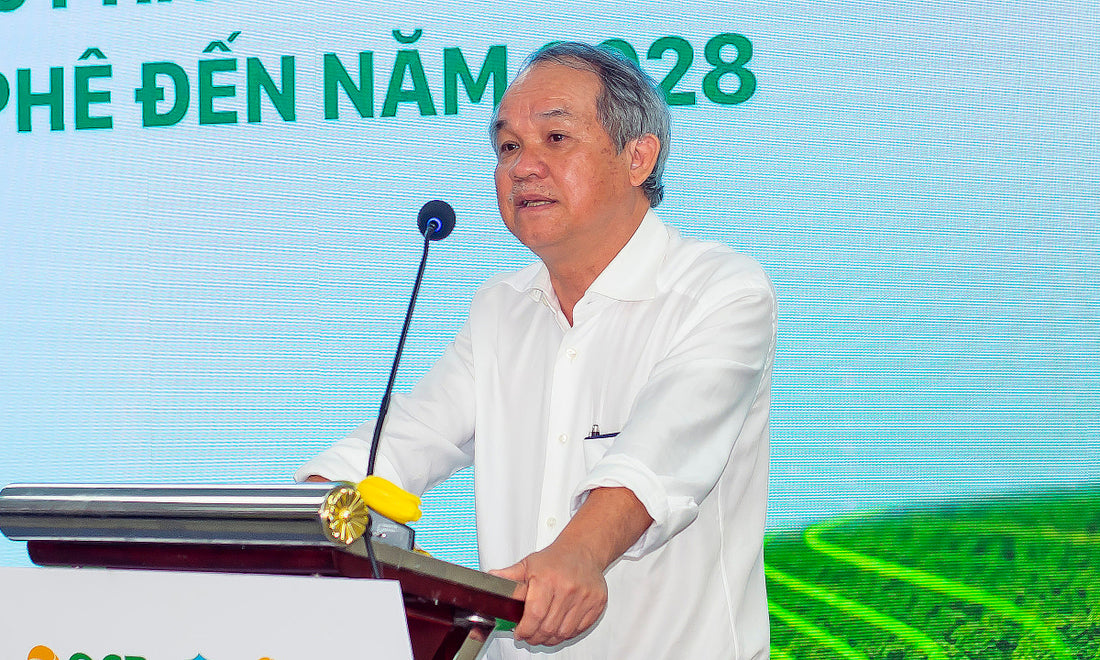 Dự Án Cà Phê 20.000 Ha Của Hoàng Anh Gia Lai: Phân Tích Tầm Ảnh Hưởng Kinh Tế Toàn Cầu và Diễn Biến Thị Trường Quốc Tế