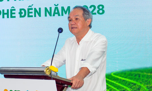 Dự Án Cà Phê 20.000 Ha Của Hoàng Anh Gia Lai: Phân Tích Tầm Ảnh Hưởng Kinh Tế Toàn Cầu và Diễn Biến Thị Trường Quốc Tế